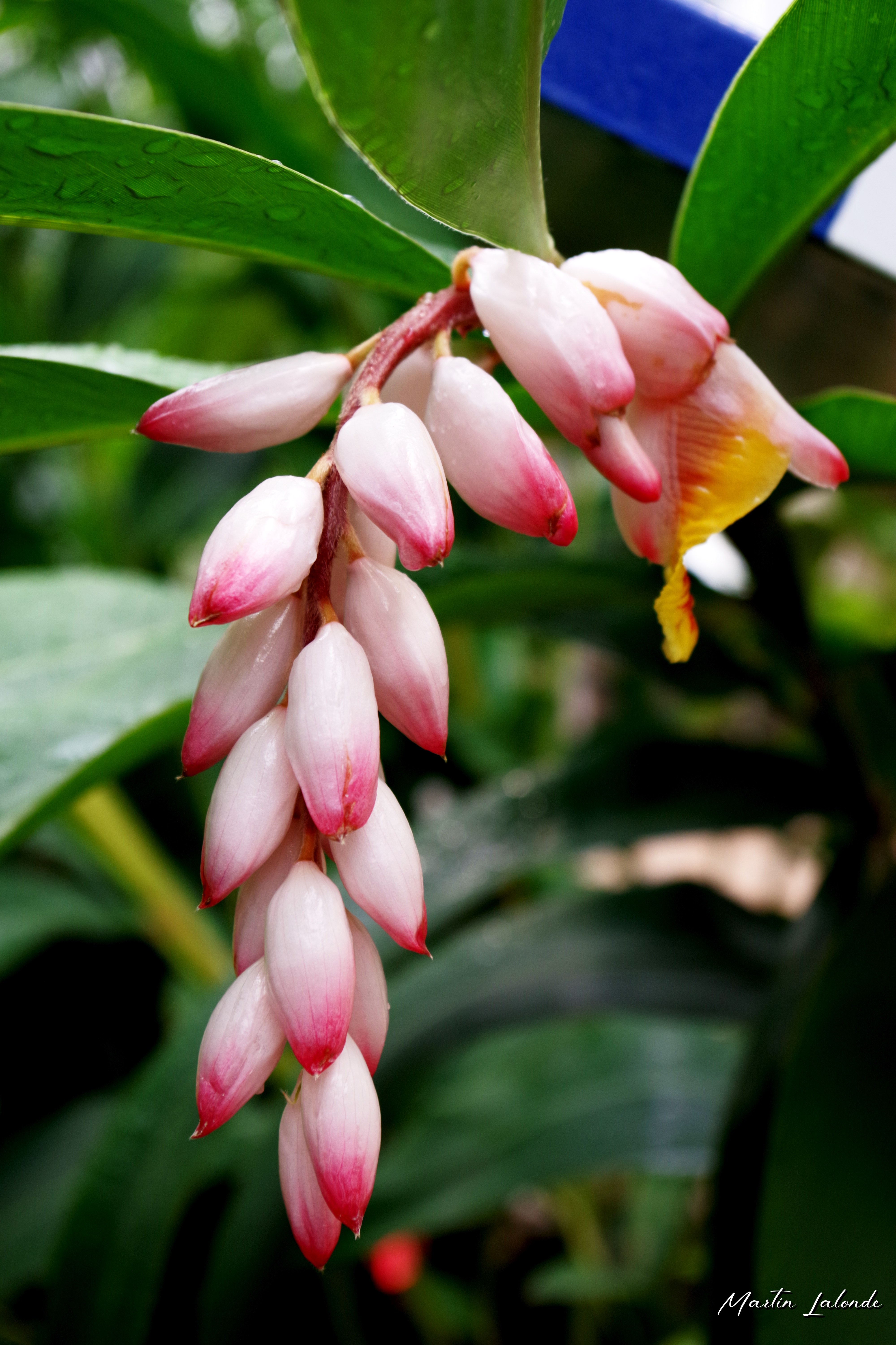 Nature 3