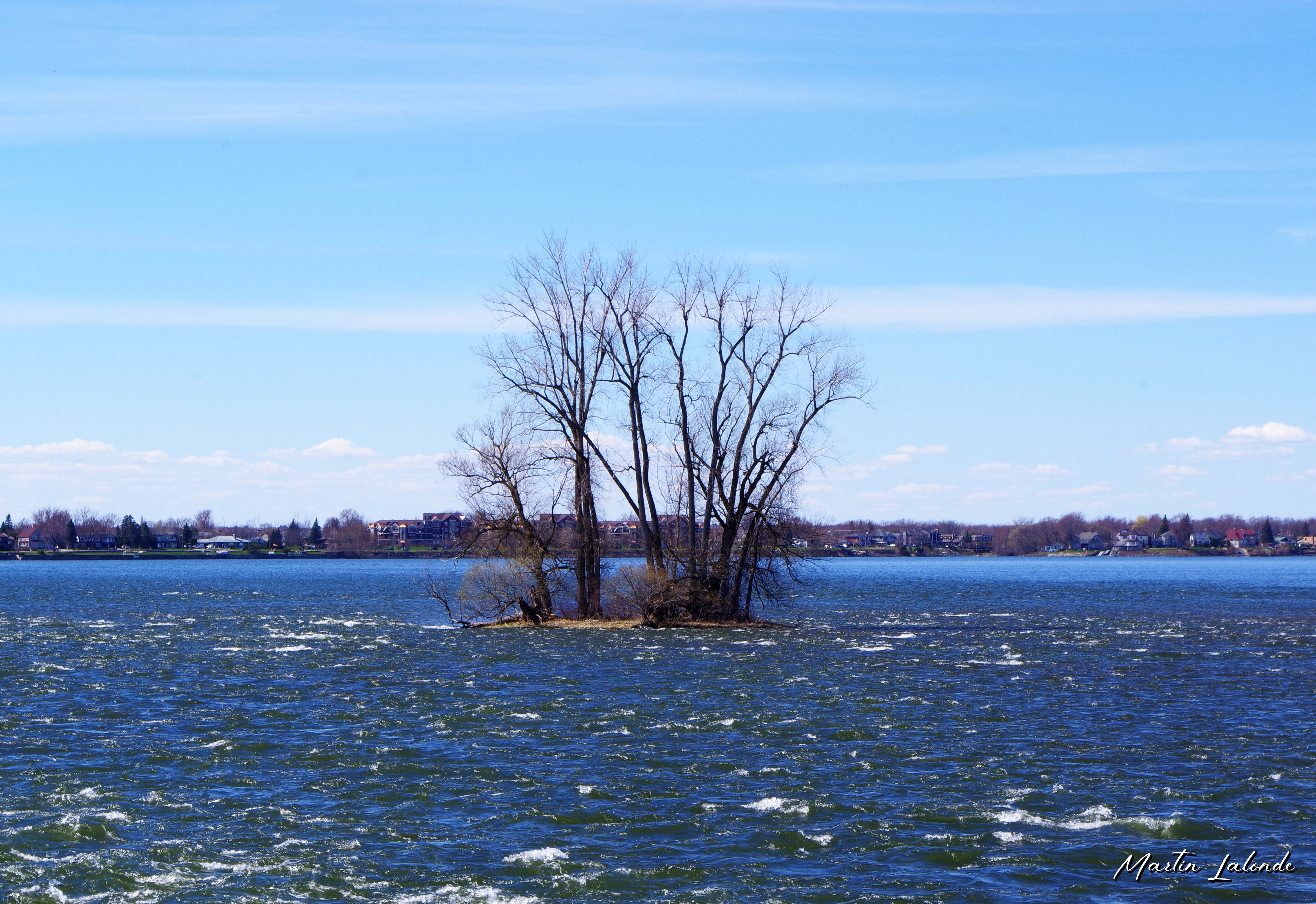 Paysage 3